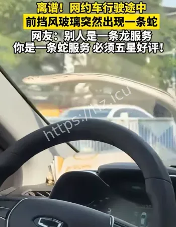 挡风玻璃外蛇游走